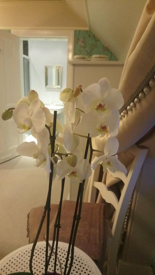 Trinity Boutique B&B Peterhead Extérieur photo